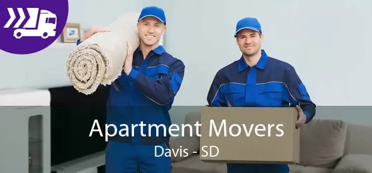 Apartment Movers Davis - SD