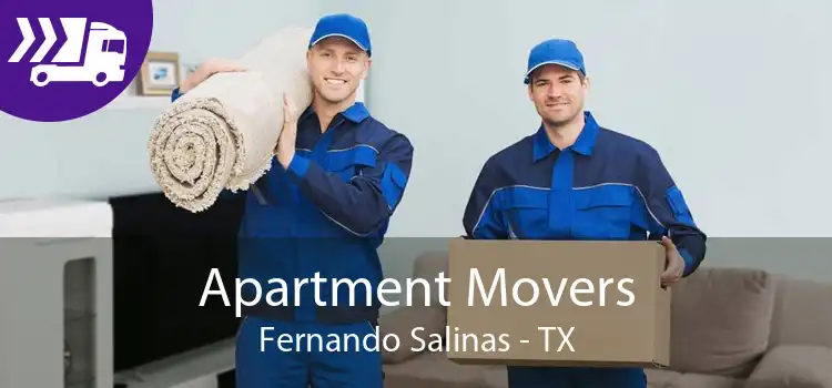 Apartment Movers Fernando Salinas - TX