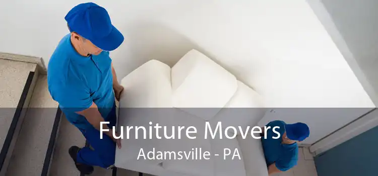Furniture Movers Adamsville - PA