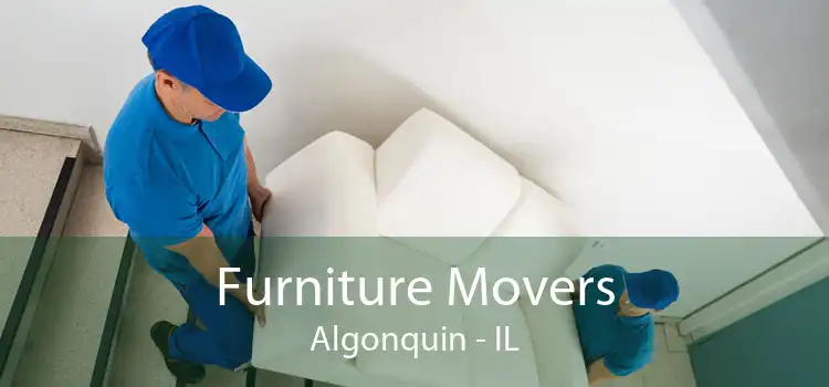 Furniture Movers Algonquin - IL