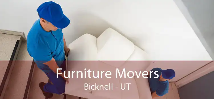 Furniture Movers Bicknell - UT