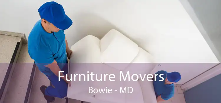 Furniture Movers Bowie - MD