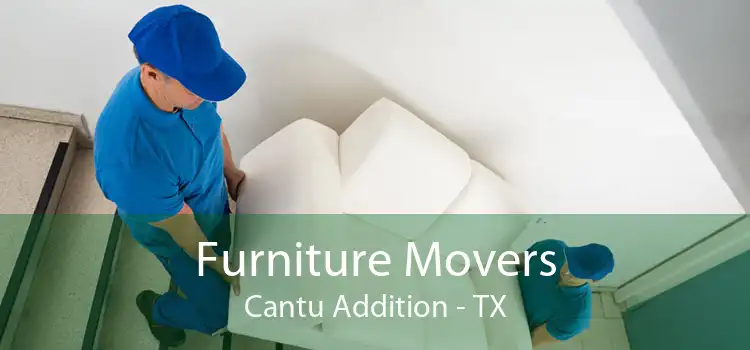 Furniture Movers Cantu Addition - TX
