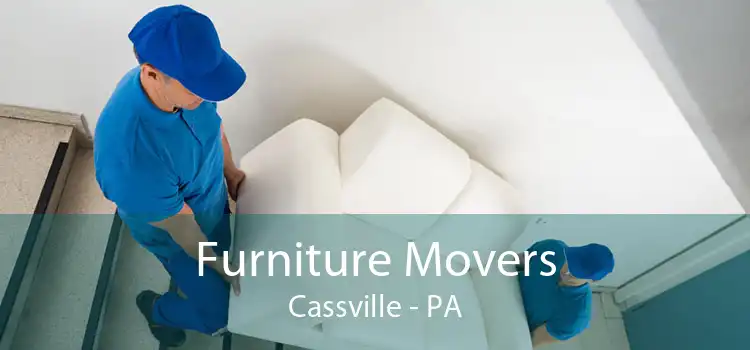 Furniture Movers Cassville - PA