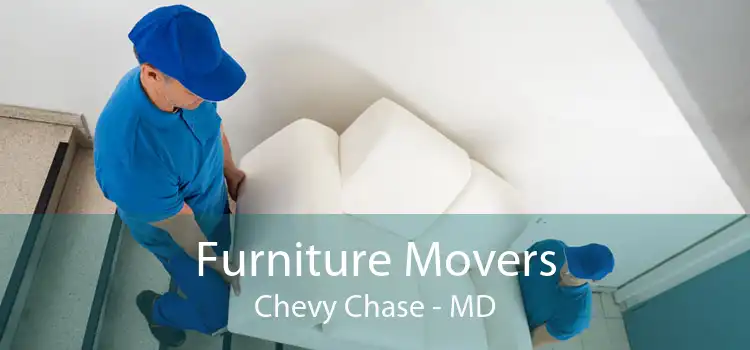Furniture Movers Chevy Chase - MD