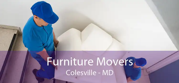 Furniture Movers Colesville - MD