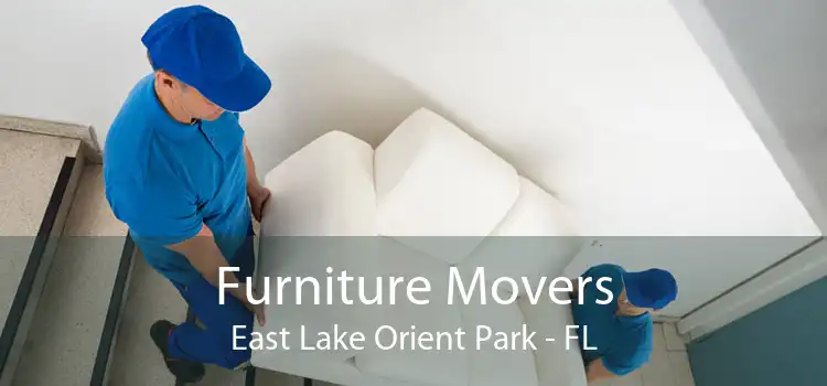 Furniture Movers East Lake Orient Park - FL