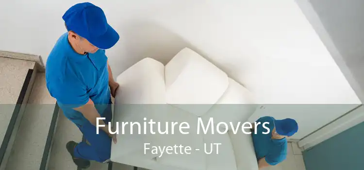Furniture Movers Fayette - UT