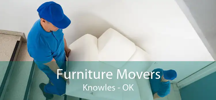Furniture Movers Knowles - OK