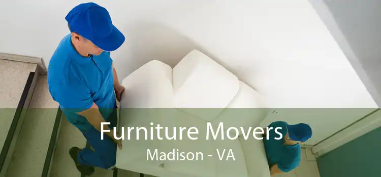 Furniture Movers Madison - VA