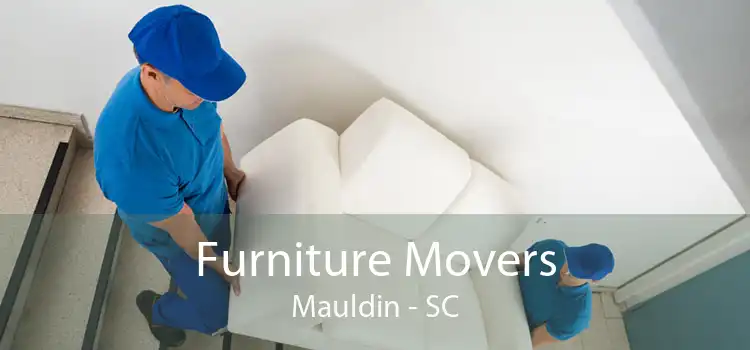 Furniture Movers Mauldin - SC