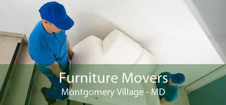 Furniture Movers Montgomery Village - MD