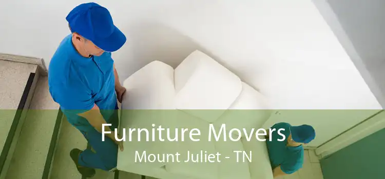 Furniture Movers Mount Juliet - TN
