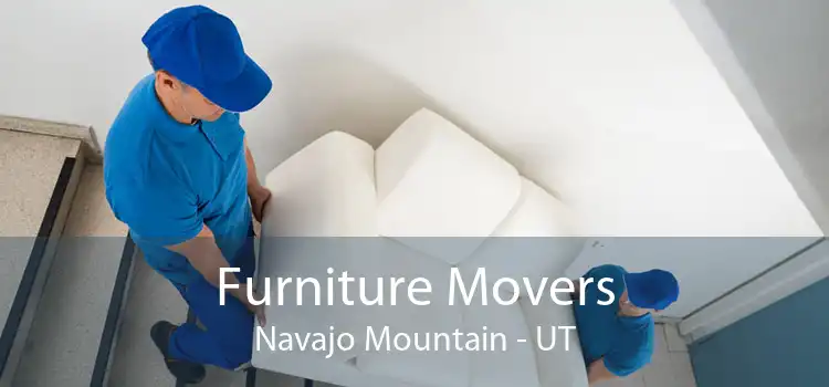 Furniture Movers Navajo Mountain - UT