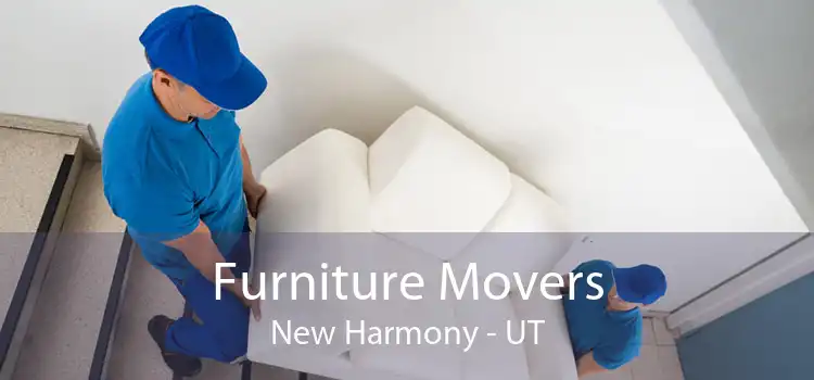 Furniture Movers New Harmony - UT