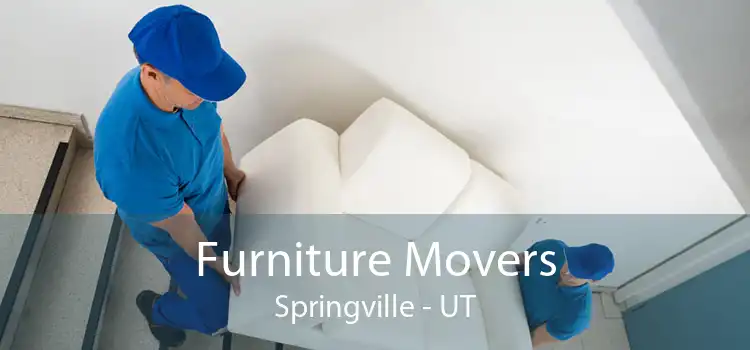 Furniture Movers Springville - UT