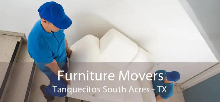 Furniture Movers Tanquecitos South Acres - TX