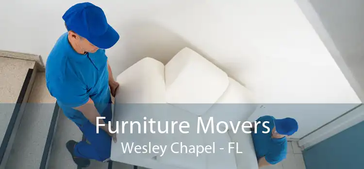 Furniture Movers Wesley Chapel - FL