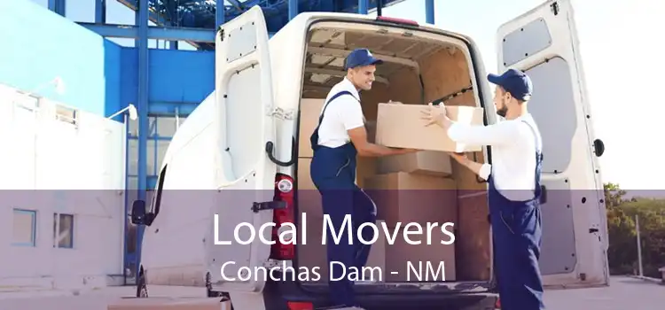 Local Movers Conchas Dam - NM