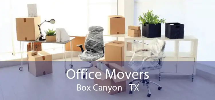 Office Movers Box Canyon - TX