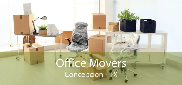 Office Movers Concepcion - TX
