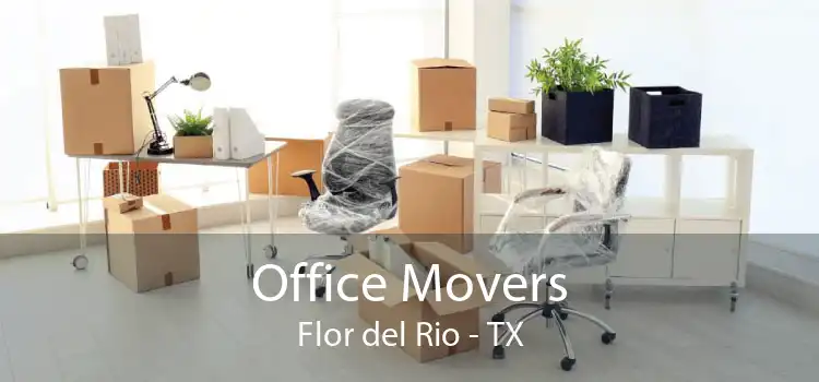 Office Movers Flor del Rio - TX