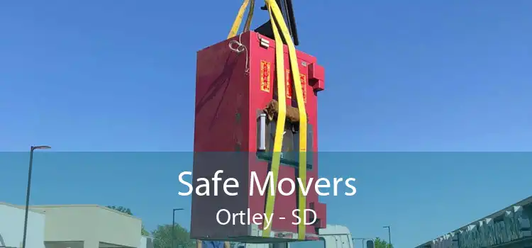 Safe Movers Ortley - SD
