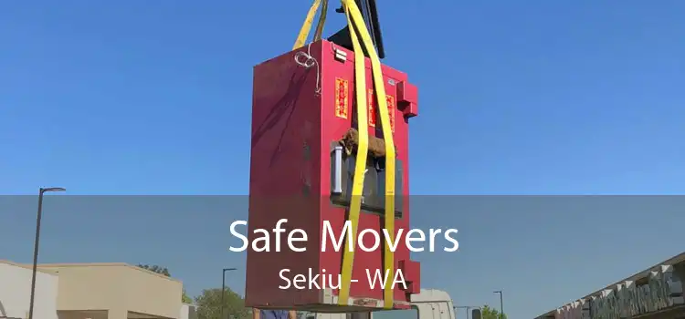 Safe Movers Sekiu - WA